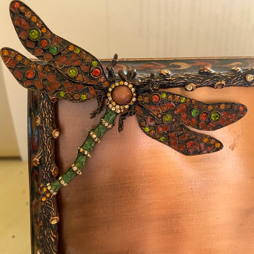 jay strongwater dragonfly frame